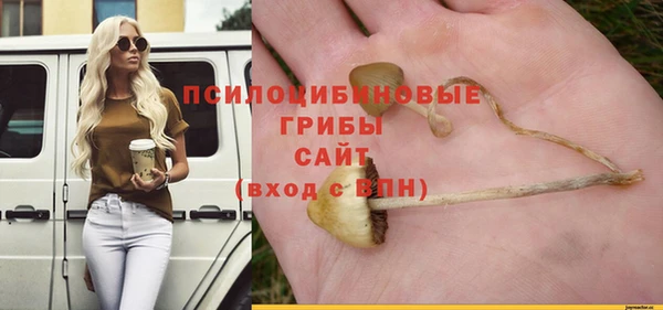 ECSTASY Ладушкин