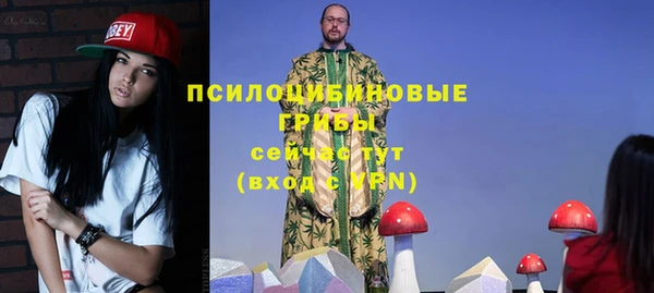 ECSTASY Ладушкин