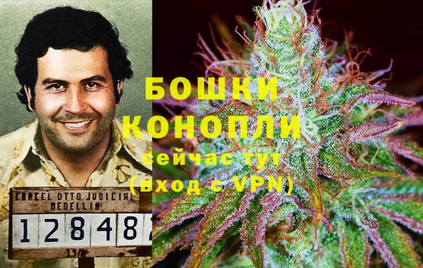 ECSTASY Ладушкин